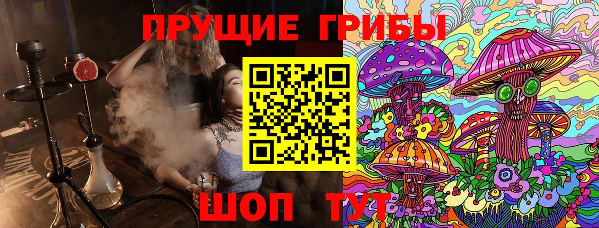 Псилоцибиновые грибы Cubensis  где купить наркотик  Вход с VPN  Ленинск-Кузнецкий  Галлюциногенные грибы MAGIC MUSHROOMS 